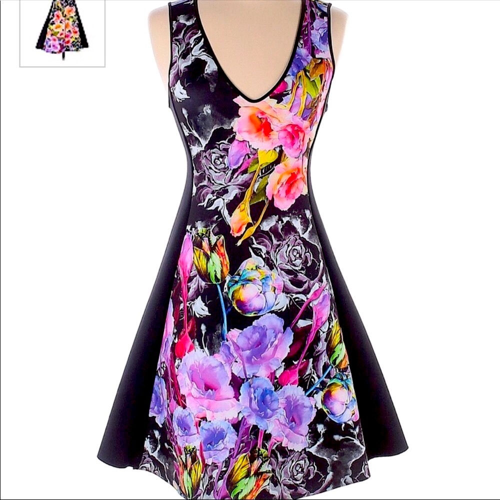 NWT clover canyon dress